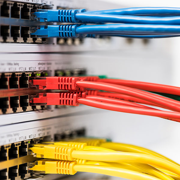 Closeup of colored computer network cables connected to a switch
